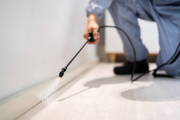 Licensed Rodent Control service in Elmhurst, IL - Nex Pest Control