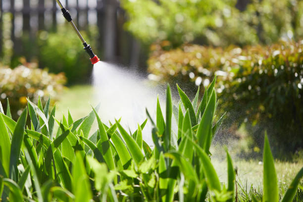 24/7 Emergency Rodent Control experts in Elmhurst, IL