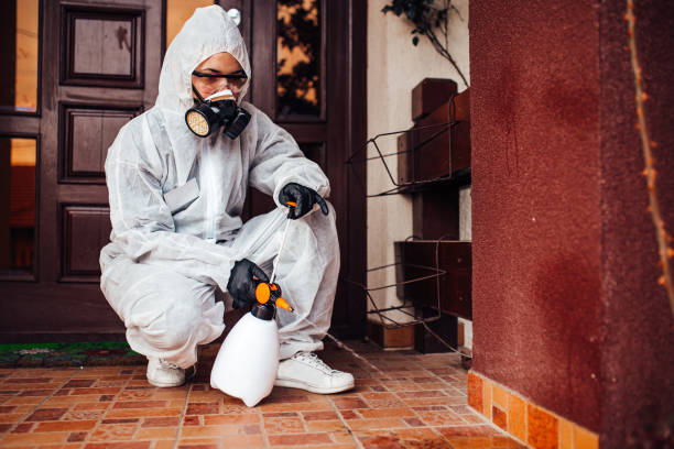 Reliable Rodent Control contractor in Elmhurst, IL by Nex Pest Control