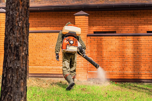 Trusted Mosquito Control service in Elmhurst, IL - Nex Pest Control